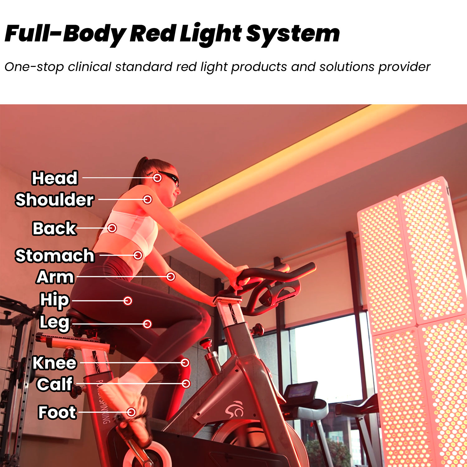 2026 IDEATHERAPY RL300MAX-CH P - Red Light Therapy Device ulasan dan harga